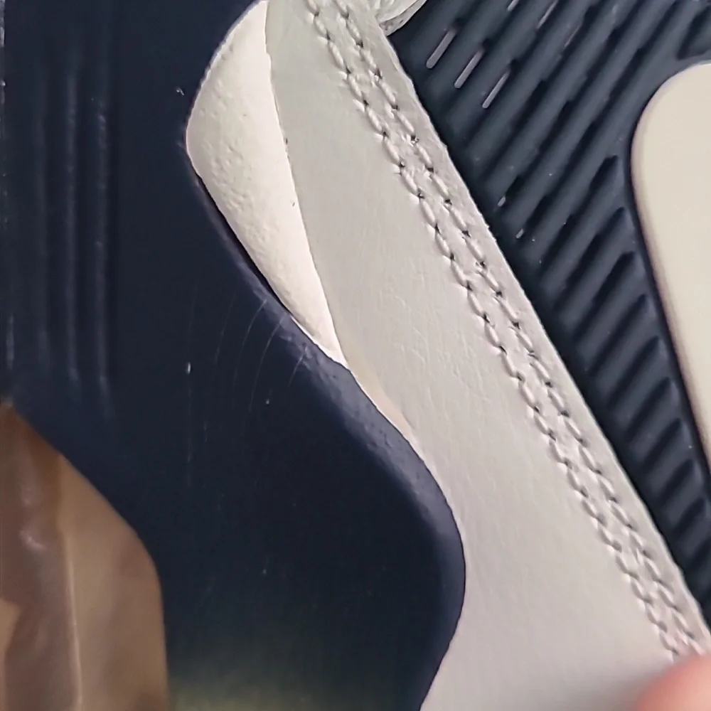 Nike White and Blue Sneakers